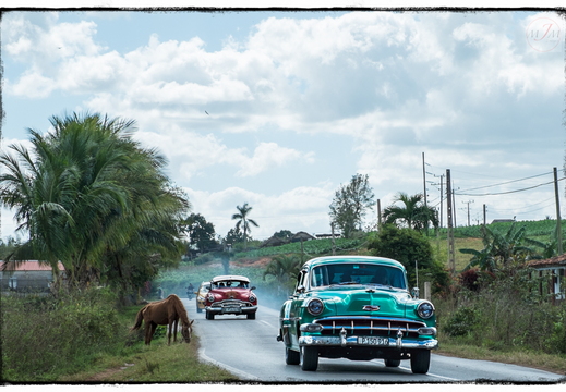 Americaine dans la campagne de Vinales