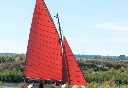 DSC3723