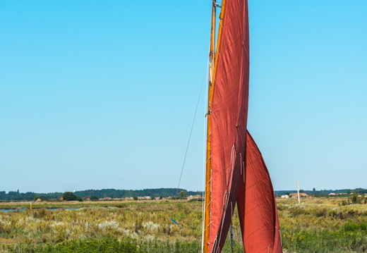  DSC3731