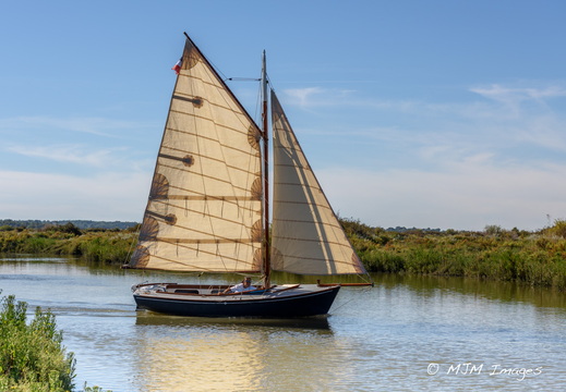  DSC5810