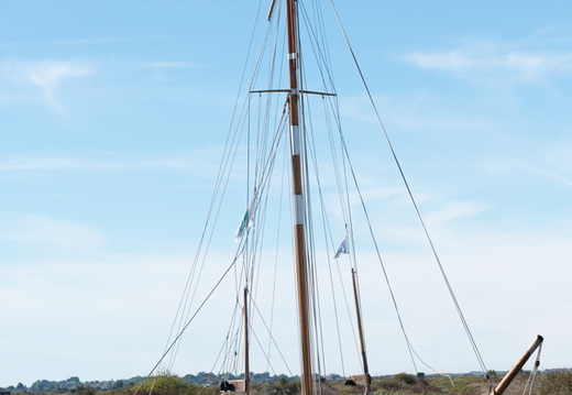  DSC3777