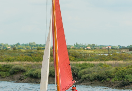 2017-07-21 Ilstir sur la Seudre