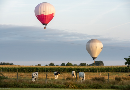 2021-08-21 Vol de Montgolfières Dèpart Mornac Sur Seudre