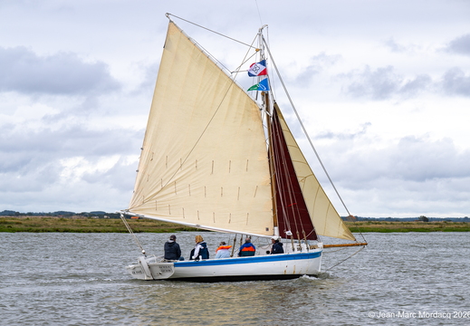  Z364557