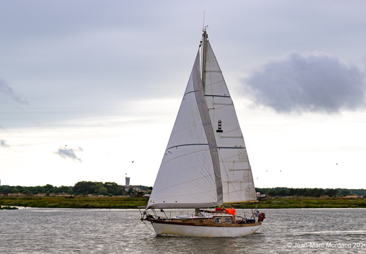  Z364575